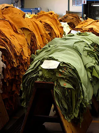 Fabric Hall